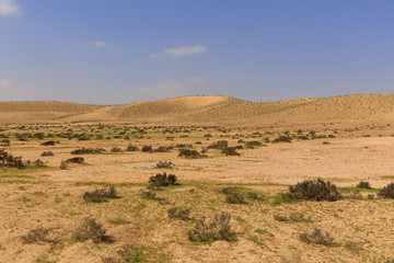 Fototapeta na wymiar Far hills with a fresh grass in desert under sky at winter