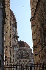 Blick auf den Dom Florenz