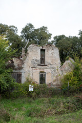 Fototapeta na wymiar Old ruined house in the woods