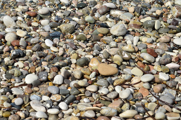 Pebble stones on sand for texture or background. Grey, white stones and sea weed on beach. Sea beach stones in Cyprus