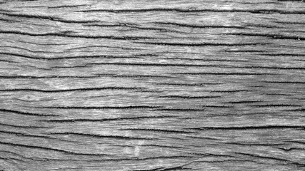Obraz premium abstract dirty wood texture