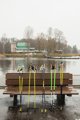 Nordic walking sticks