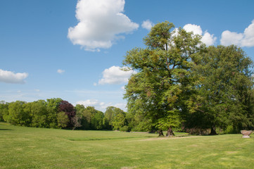 Fototapeta premium schlosspark worms-herrnsheim