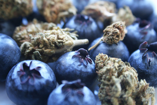Marijuana Bud With Blueberries Macro Close Up