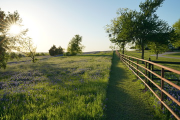 View along Texas Bluebonnets trail during spring time around the Texas Hill Country