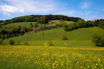 Landschaft bei Prinzbach im Kinzigtal