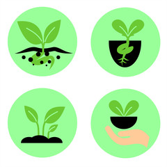Growing sprout plant. Flat icon in circle. Vector graphic illustration.