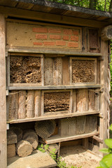 Ein Insektenhotel im Frühjahr