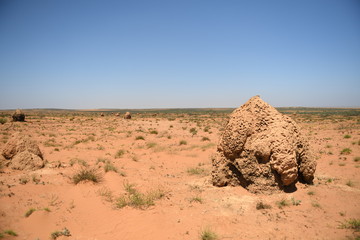 Fototapeta na wymiar Red desert Australia