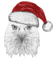 Portrait of Eagle with Santa hat,  hand-drawn illustration