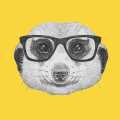 Portrait of Meerkat with glasses,  hand-drawn illustration
