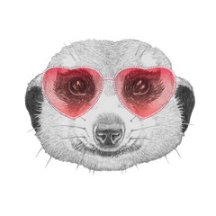Meerkat in Love! Portrait of Meerkat with sunglasses,  hand-drawn illustration