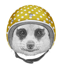 Portrait of Meerkat with helmet,  hand-drawn illustration