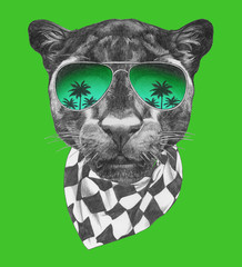 Portrait of Panther with sunglasses and scarf,  hand-drawn illustration