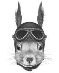 Portrait of Squirrel with vintage helmet,  hand-drawn illustration
