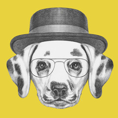 Portrait of Dalmatian with hat and glasses,  hand-drawn illustration