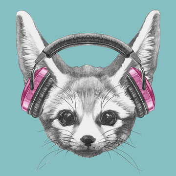 Portrait of Fennec Fox with headphones,  hand-drawn illustration