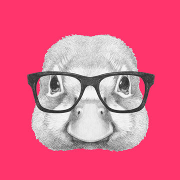 Portrait of Duck with glasses, hand-drawn illustration