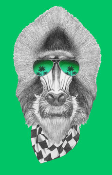 Portrait of Mandrill with scarf and sunglasses, hand-drawn illustration