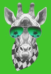 Portrait of Giraffe with sunglasses and scarf,  hand-drawn illustration