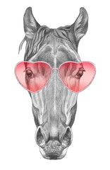 Horse in Love! Portrait of Horse with sunglasses, hand-drawn illustration