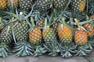 Pineapple background/ hawaiian pineapples background,A lot of pineapple fruit background