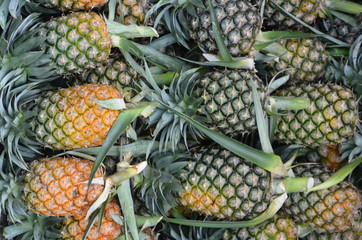 Pineapple background/ hawaiian pineapples background,A lot of pineapple fruit background