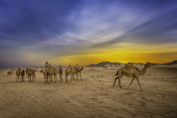 Fototapeta na wymiar Jeddah - wonderful desert
