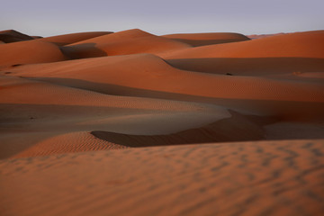 Fototapeta na wymiar Red desert sand of Oman at Sunset