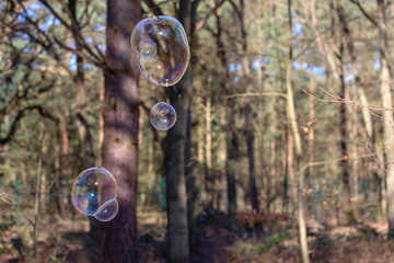 Bubbles