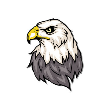 Bald eagle logo. Wild birds drawing. Head of an eagle. Vector graphics to design.