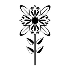 Isolated monochrome flower icon