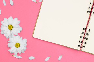 Blank spiral notepad and chamomiles blossoms on pink background, space for text, copy space