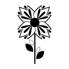 Isolated monochrome flower icon