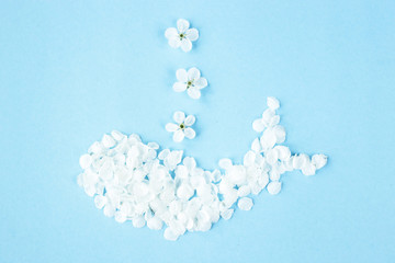 White petals of spring flowers are lined in the shape of a whale. Top view, flat lay