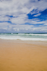 the beach and landscape in Surfers Paradise on the Gold Coast