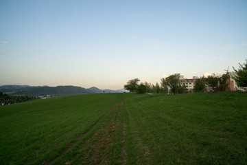 Fototapeta na wymiar Sunset on meadow with hills and tree. Slovakia