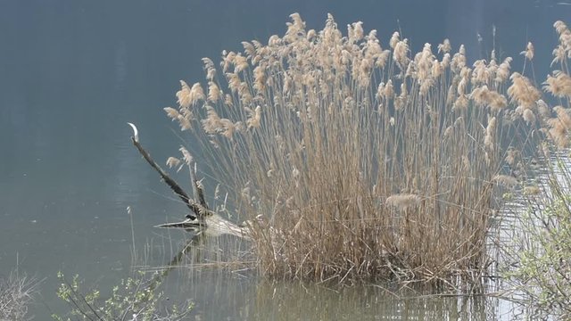 canneto 3