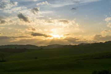 Sunset on meadow with hills and tree. Slovakia
