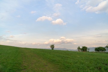 Naklejka na ściany i meble Sunset on meadow with hills and tree. Slovakia