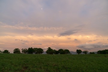 Sunset on meadow with hills and tree. Slovakia