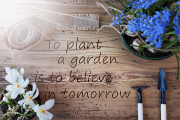 Sunny Spring Flowers, Quote Plant A Garden Believe In Tomorrow
