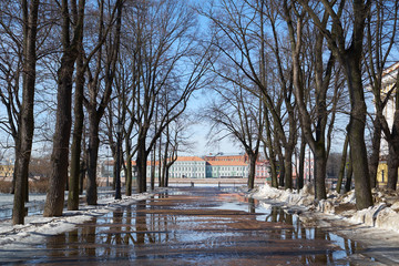 Oak alley in the Alexander Park of St. Petersburg.