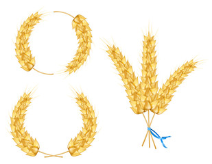 Ear pf wheat, barley, oat, isolated on white background. Wheat sprigs tied with blue ribbon. Wreath of wheat. Vector illustration of spikelet.