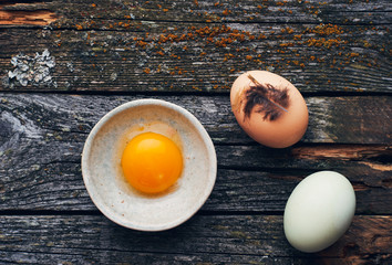 raw organic chicken egg yolk in a bowl on a wooden table