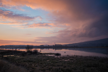 Mauve along the river