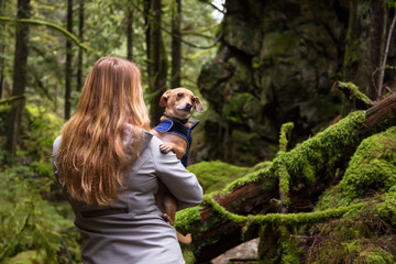 Woman holiding a small dog, Chihuahua, in her arms surrounded by beautiful nature. Taken in Lynn Valley, North Vancouver, British Columbia, Canada.