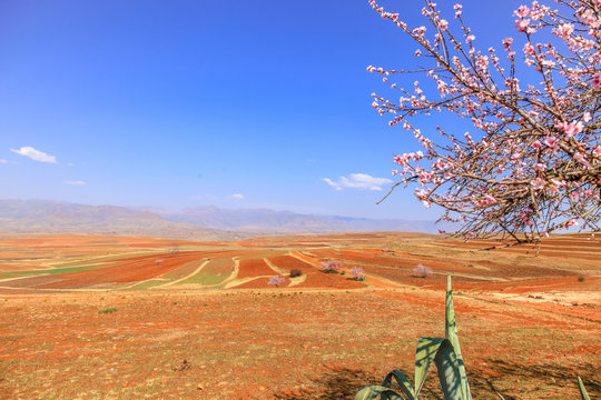 Malealea street village near mountain and cultivation field