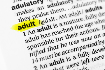 Highlighted English word 
