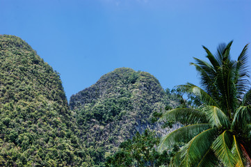 Fototapeta na wymiar Tropical landscape in Thailand